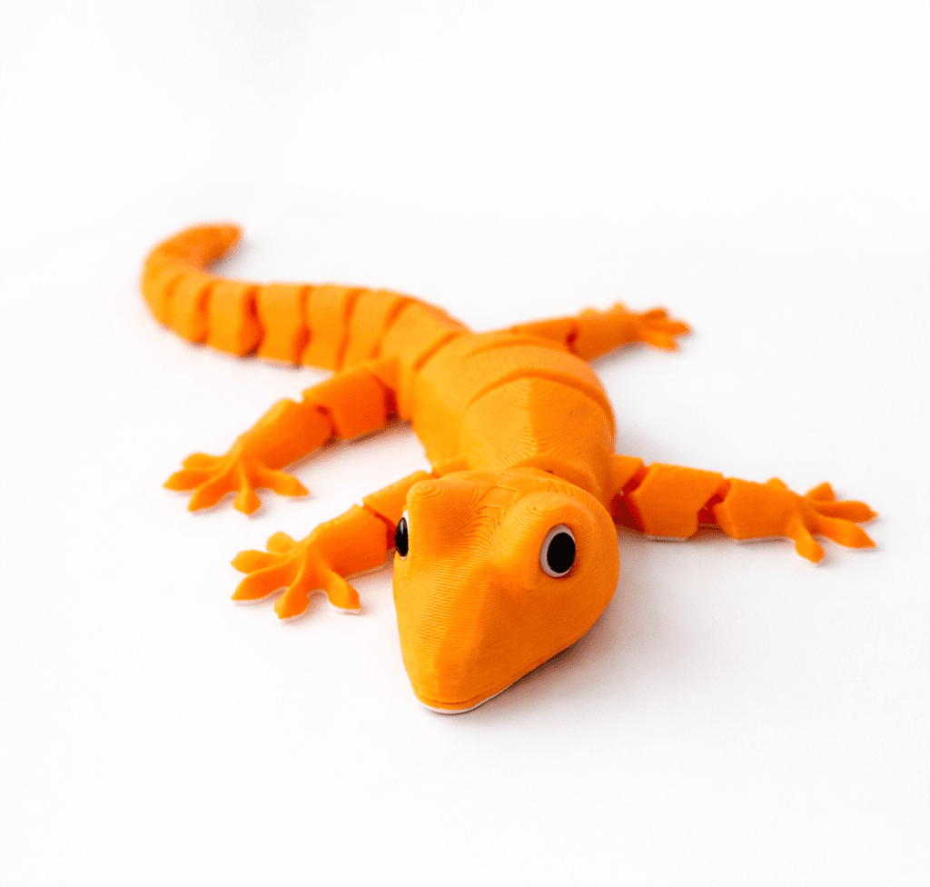Geko Driežas – nuotrauka 3