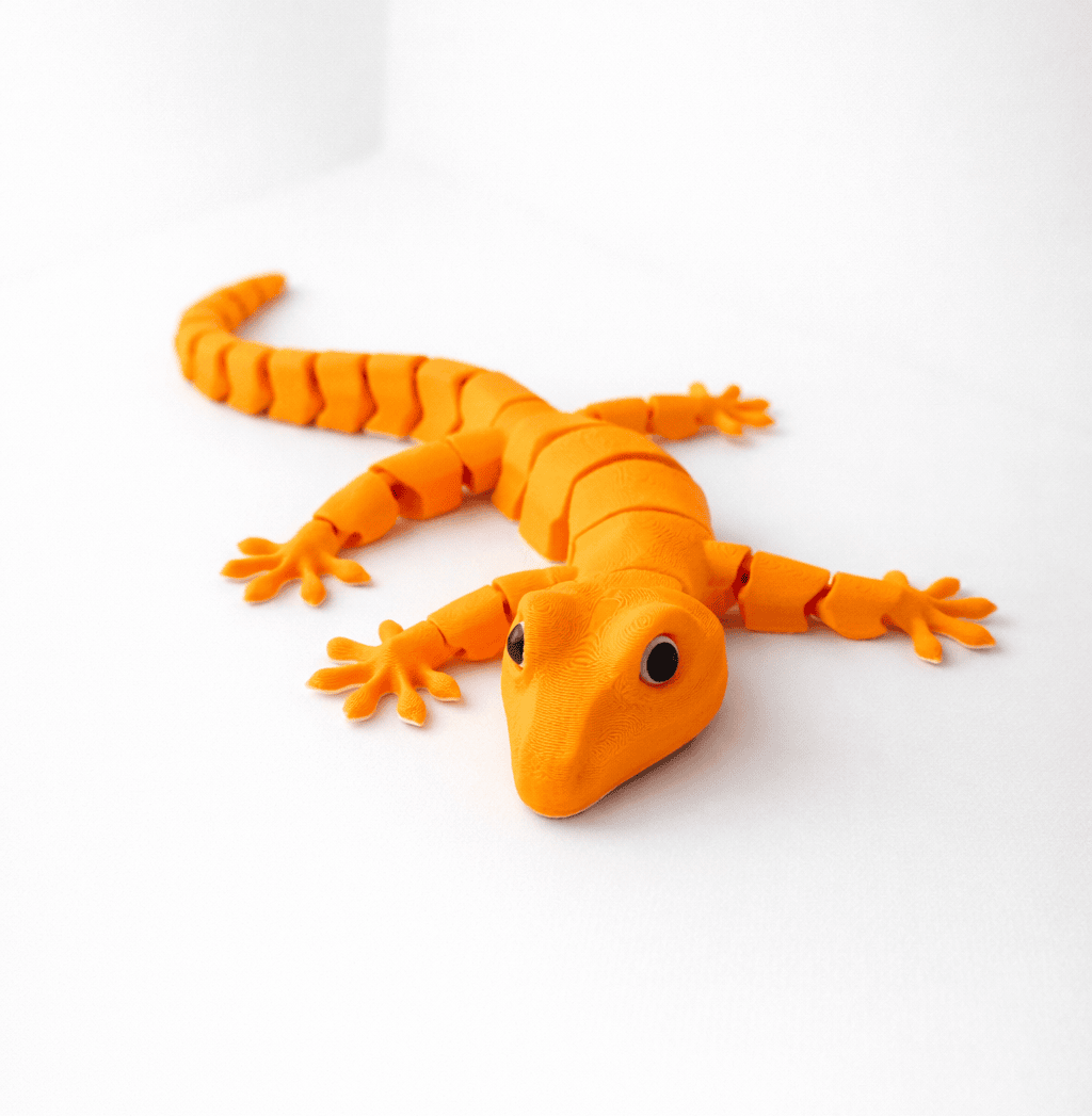 Geko Driežas – nuotrauka 2