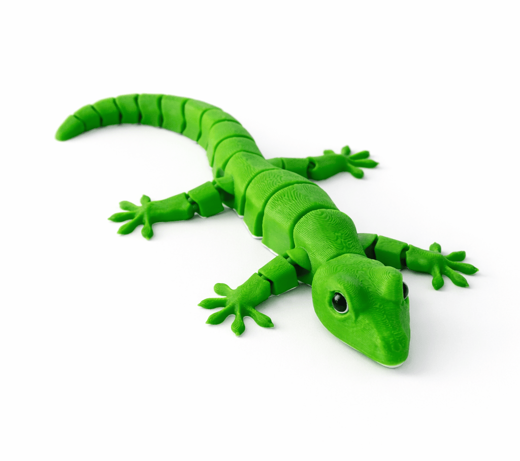 Geko Driežas – nuotrauka 7