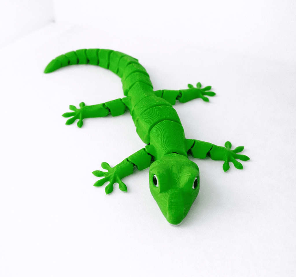 Geko Driežas – nuotrauka 6